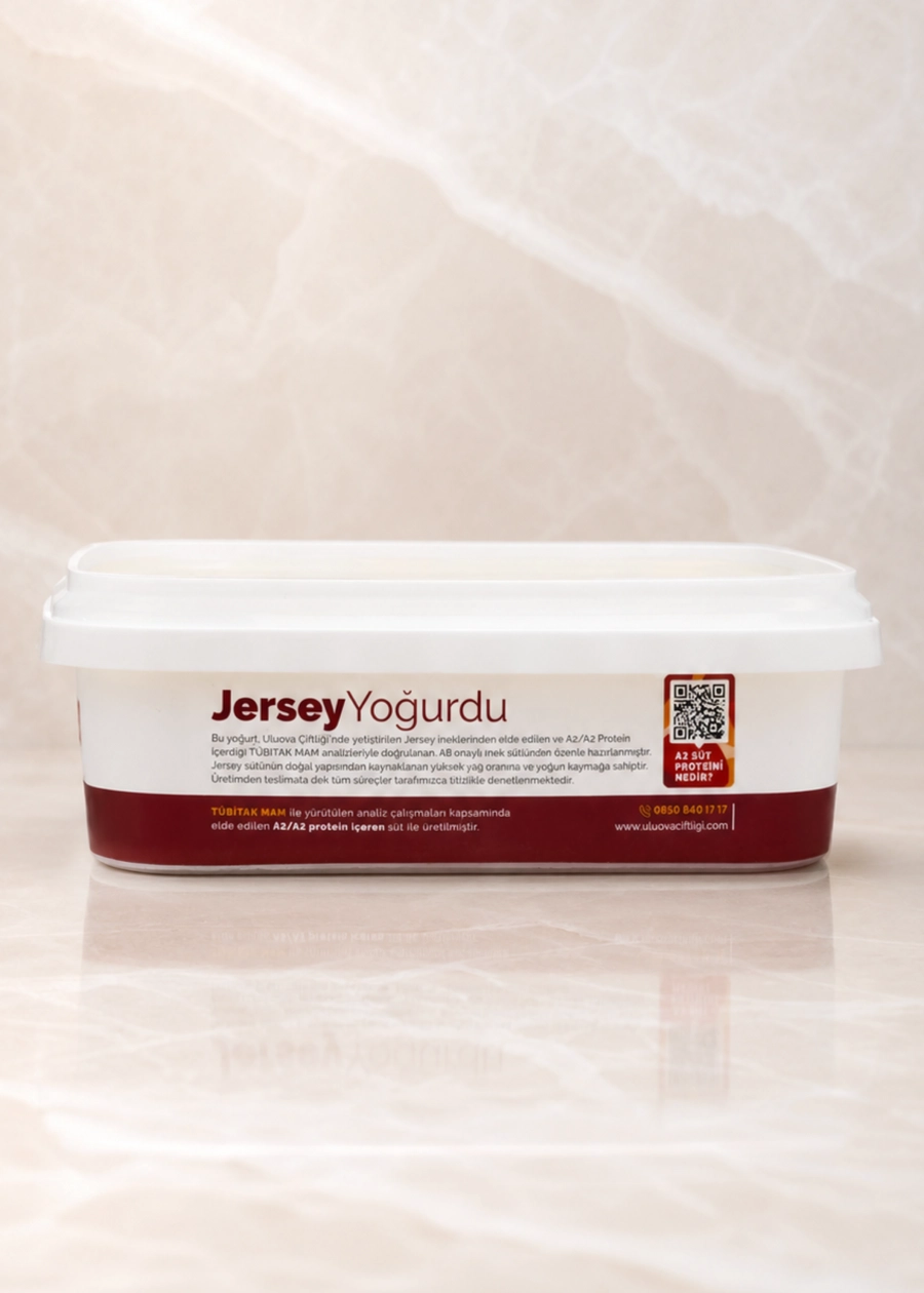 Jersey Yoğurdu 2