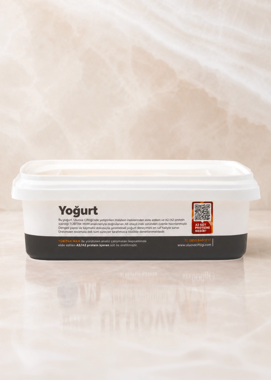 Yoğurt 2